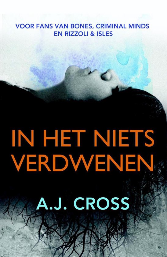 In het niets verdwenen - cover