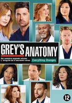 Grey's Anatomy - Seizoen 9 (DVD)