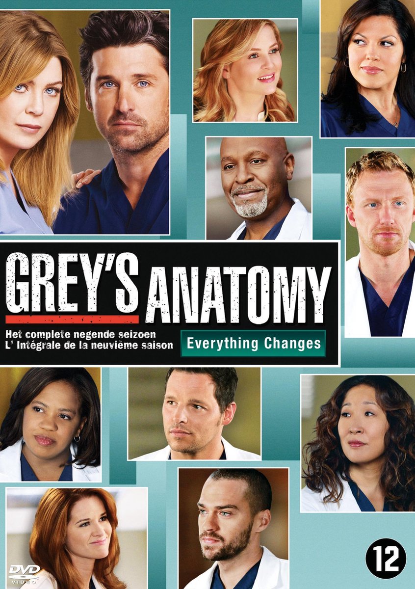 Grey's Anatomy Season 9 - Tv Series