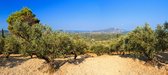 Tuinposter - Zonnig landschap