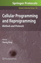 Cellular Programming and Reprogramming: Methods and Protocols