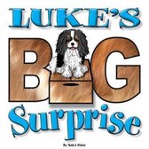 Luke's Big Surprise