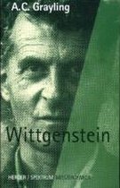 Meisterdenker: Wittgenstein