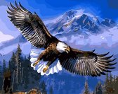 Peinture par numéro - Oiseaux - Aigle - Peinture par numéro - 40 X 50 CM - Toile - Lin - 2.0 Produits®
