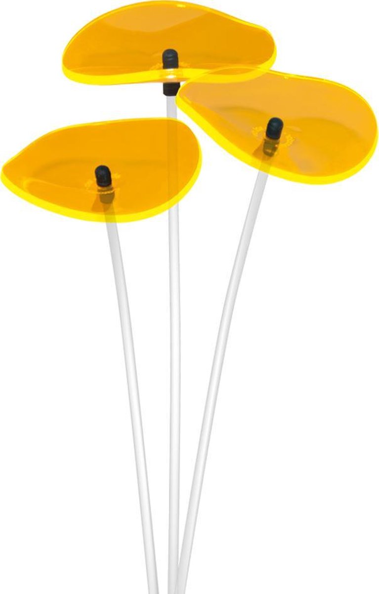 Cazador-del-Sol sonnenstrauss Lucille set/3 gelb D8cm H25cm