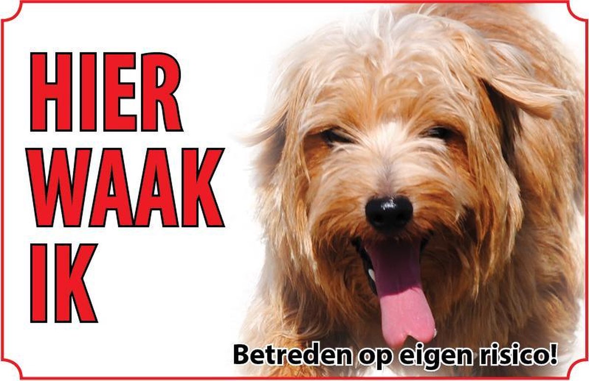 Bord Hond Norfolk terriër