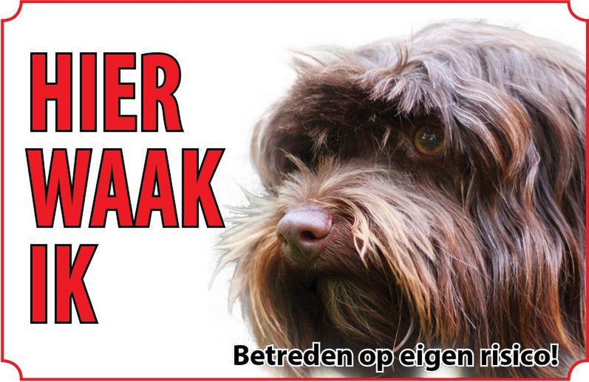 Bord Hond Havanezer