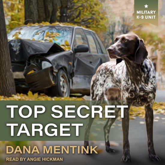 Top Secret Target - cover