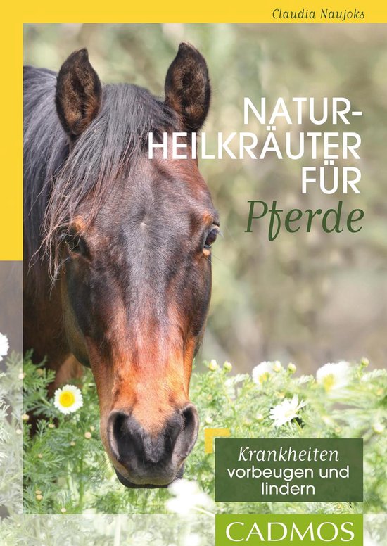 Gesundheit & Haltung - Naturheilkräuter für Pferde - cover