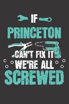 If PRINCETON Can't Fix It