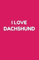 I love Dachshund