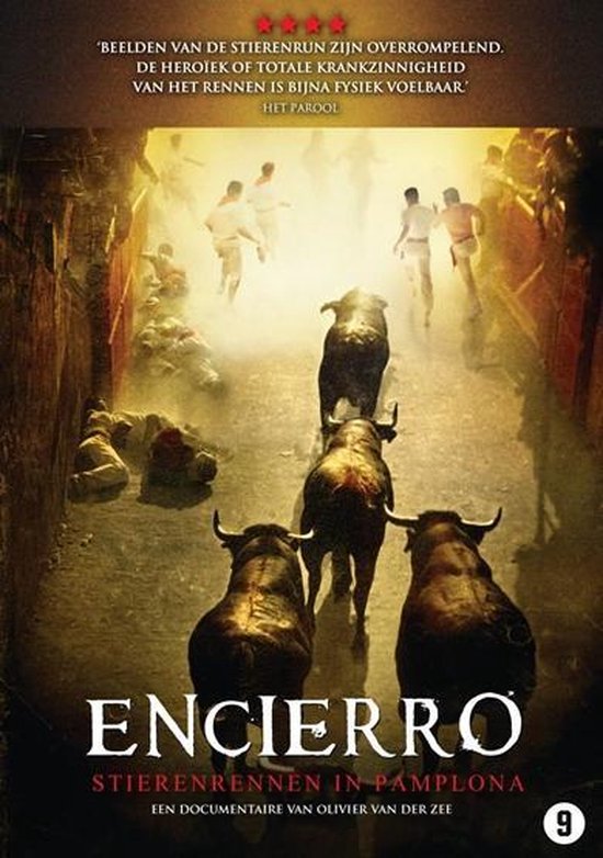 Encierro: Bull Running In Pamplona