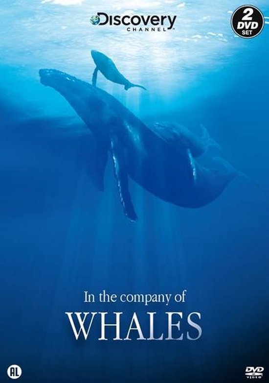 In The Company Of Whales (Discovery)