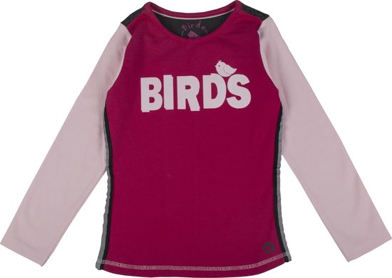 Birds by D-Rak T-shirt lange mouwen - roze/antraciet - maat 110
