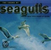 Sounds Of Seagulls