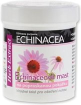 HERB EXTRACT® Regeneratieve Kruidenbalsem met Echinacea Extract voor Droge en Beschadigde Huid - 125ml