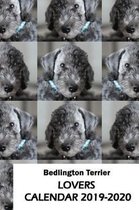 Bedlington Terrier Lovers Calendar 2019-2020