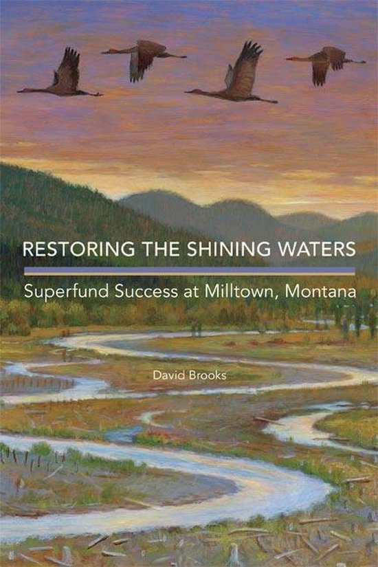 Restoring the Shining Waters - cover