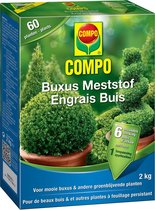 Buxus meststof - 6 maanden