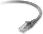 Belkin Cat.6a Patch Cord, 1 x RJ-45 Male, 1 x RJ-45 Male, 1ft, Gray netwerkkabel 0,3 m Grijs