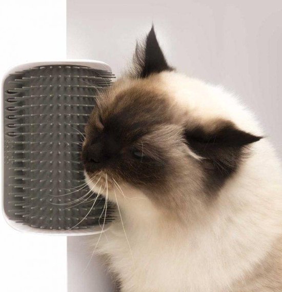 Cat self groomer deals