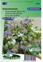 Sluis Garden - Komkommerkruid Blauw/ Wit (Borago officinalis)