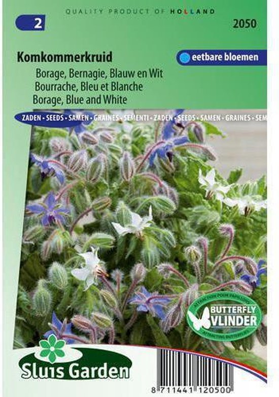Sluis Garden - Komkommerkruid Blauw/ Wit (Borago officinalis)