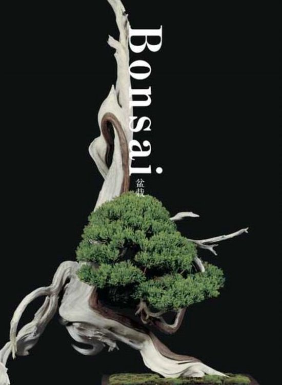 Foto: Bonsai