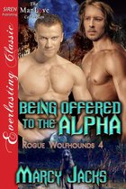 Rogue Wolfhounds 4 - Being Offered to the Alpha