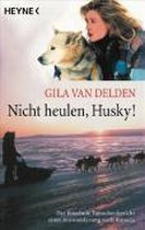 Nicht heulen, Husky!