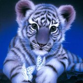 Diamond Painting 5D met tijger 30 x 30 cm