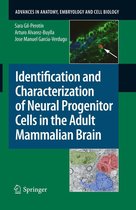 Advances in Anatomy, Embryology and Cell Biology 203 - Identification and Characterization of Neural Progenitor Cells in the Adult Mammalian Brain