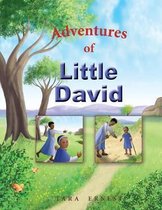 Adventures of Little David