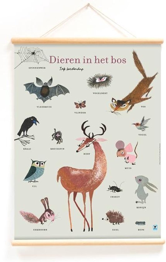 Schoolplaat Dieren in het bos (poster) | bol.com