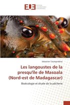 Les langoustes de la presqu'ile de masoala (nord-est de madagascar)