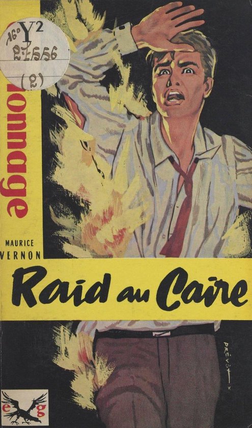 Raid au Caire - cover