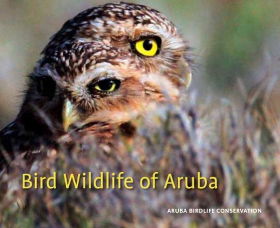 Bird Wildlife of Aruba, Gregory M. Peterson | 9789460223730 | Livres | Bird Wildlife of Aruba, Gregory M. Peterson | 9789460223730 | Livres |