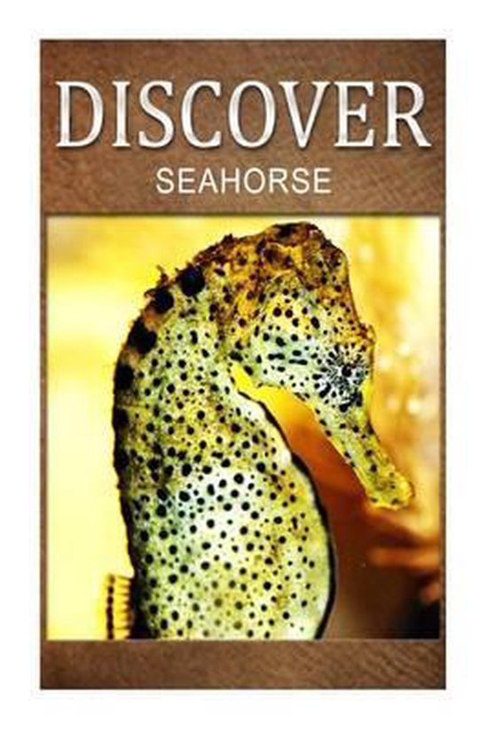Seahorse - Discover - cover