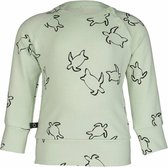 Noeser sweater Hilke Turtle groen maat 62-68