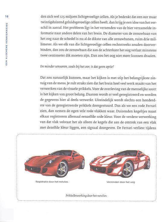 De breingids