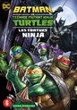 Batman VS Teenage Mutant Ninja Turtles