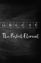 Labrador the Perfect Element