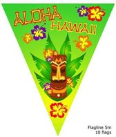 Hawaii vlaggenlijn - 5 meter - Aloha slingers