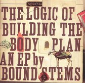 The logic of building the body plan