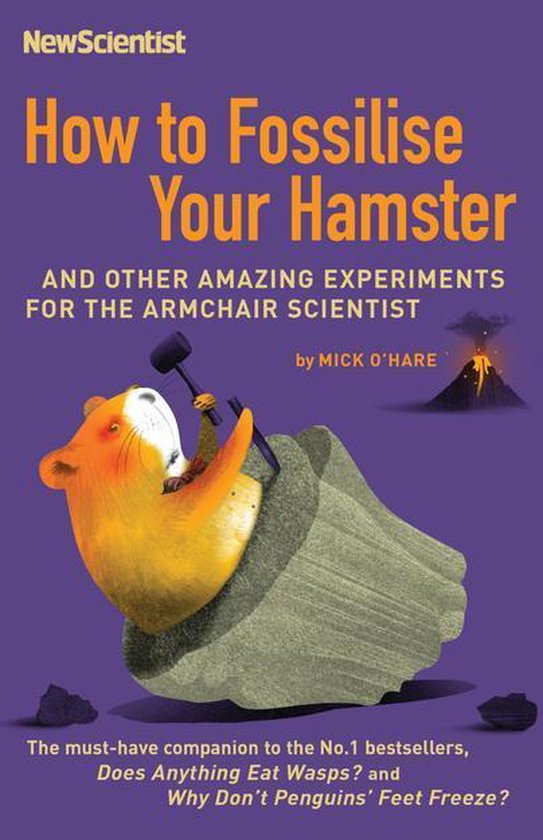 How to Fossilise Your Hamster - cover
