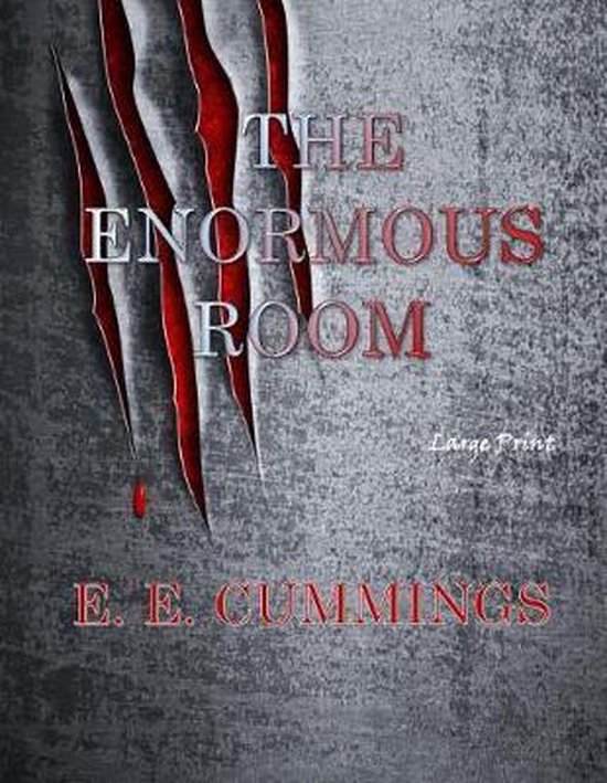 The Enormous Room - cover