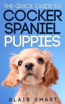 The Quick Guide to Cocker Spaniel Puppies