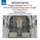 Kirsten Sturm - Organ Sonatas Nos. 1-3, Eleven Interludes From Lud (CD)