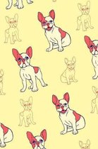 French Bulldogs