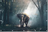 Olifant | Dieren | Tuindoek | Tuindecoratie | 120CM x 80CM | Tuinposter